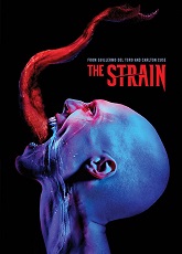 The Strain