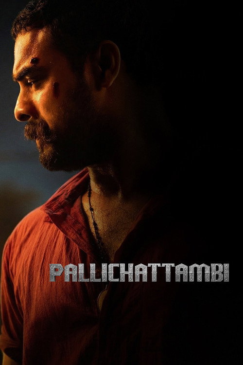 Pallichattambi 2
