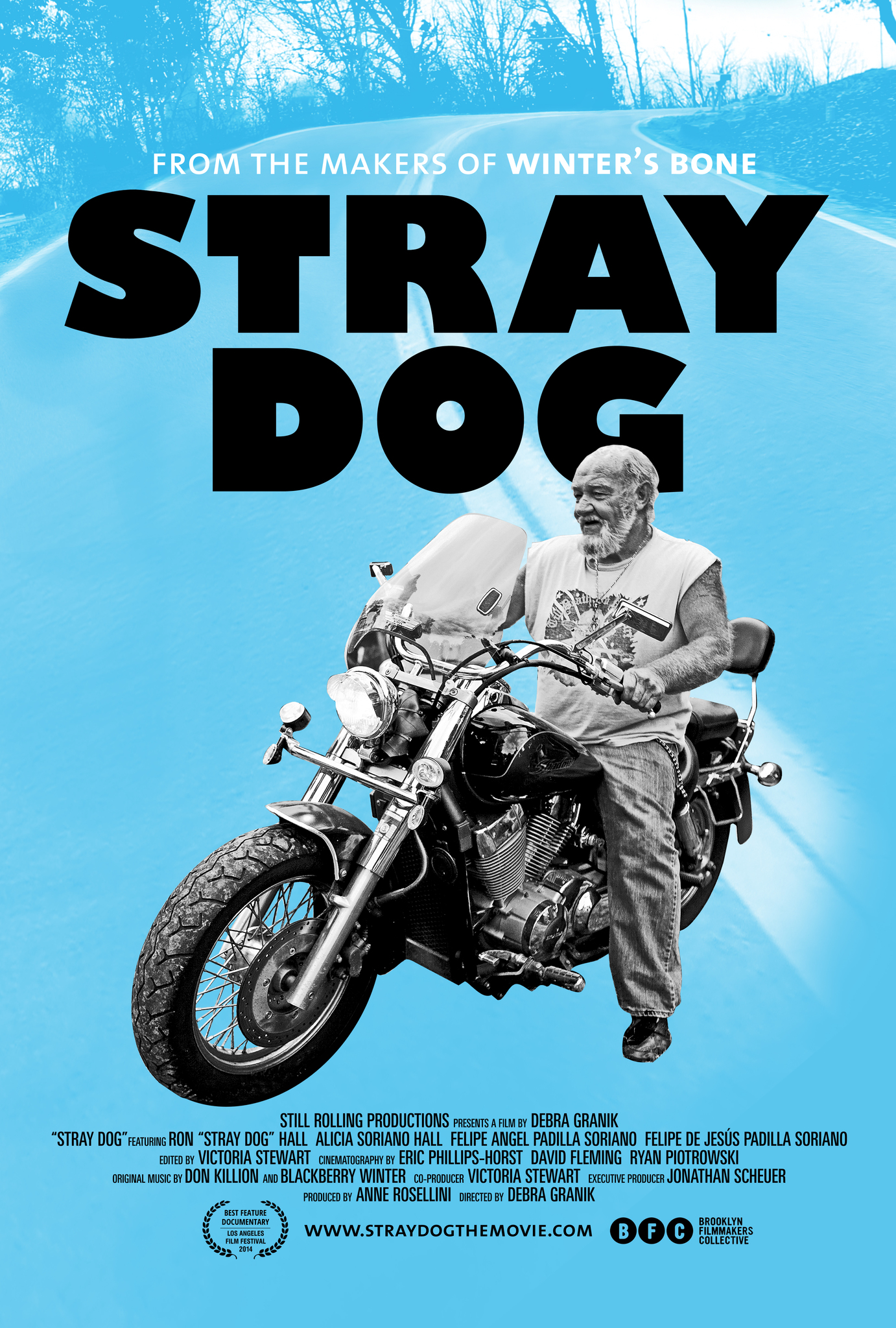 Stray Dogs