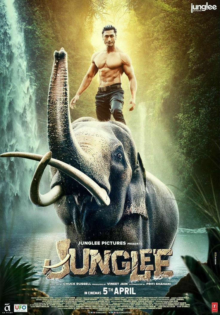Junglee Part 1