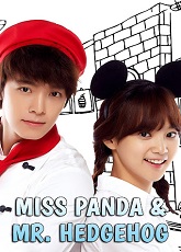 Panda and Hedgehog